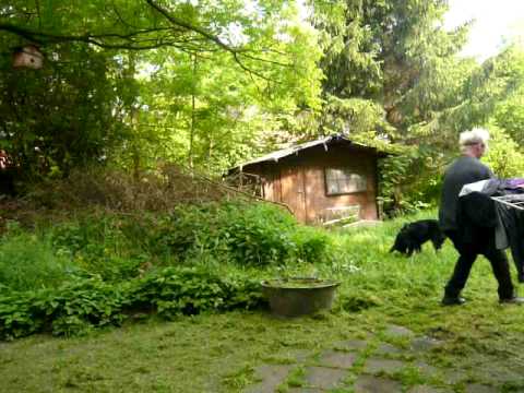 Der Rasenmähermann Stream