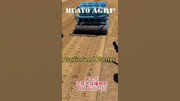 Garlic Seed Up Gasoline Powered Galic Seed Planter to grow 5 row garlic planting machine