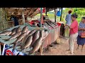 Wow island cultural villages massive rohu fishmarket  professional fish cutting skills
