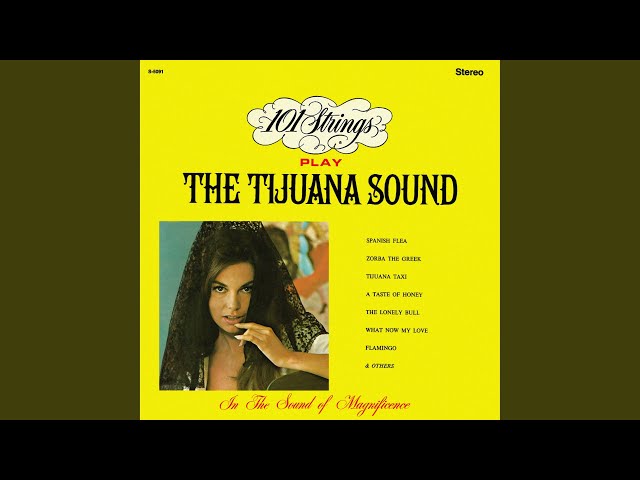 101 Strings Orchestra - Tijuana Taxi