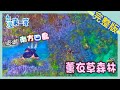 澎湖【自潛海底薰衣草  花環藍洞漫遊貓島】│2020.08.30│《台灣第一等》完整版