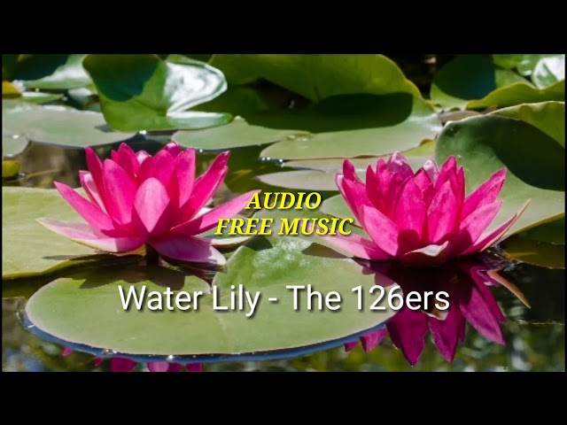 Water Lily - The 126ers (No Copyright) class=