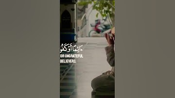 إنا نحن نزلنا عليك القرآن تنزيلا  القارئ إسلام صبحي  تلاوة خاشعة من سورة الإنسان