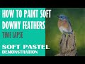 How to Paint Soft Downy Feathers - How to Paint Birds - Birds in Soft Pastel