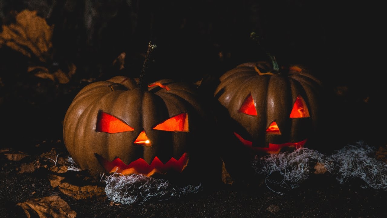 Halloween Bucket List - Ideas Fun Activities & Things to Do (2021)