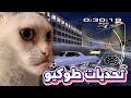اختم طوكيو بمود العشوائيات #2 والاخيره