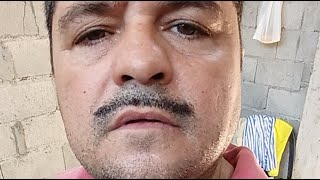 Pitershow  New  You Say You Love Me