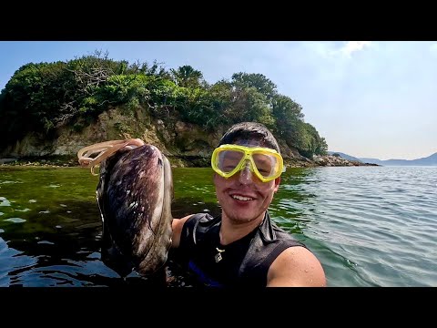 漁師の無人島キャンプ！素潜りで巨大イカを突いて食う！