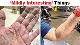 Surprisingly Fascinating Things You’ve Probably Never Noticed