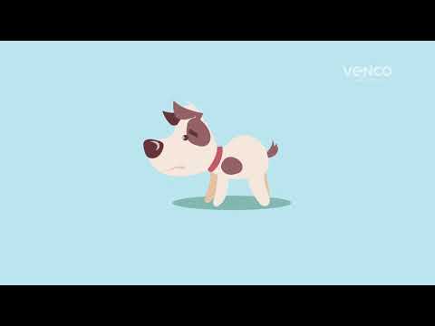 Vídeo: Doença De Contração Muscular (mioclonia) Em Cães