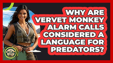 Why Are Vervet Monkey Alarm Calls Considered A Language For Predators? - The Wild Life Explorer