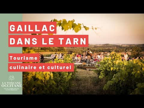 Gaillac en trois regards : terroir, patrimoine et route des bastides