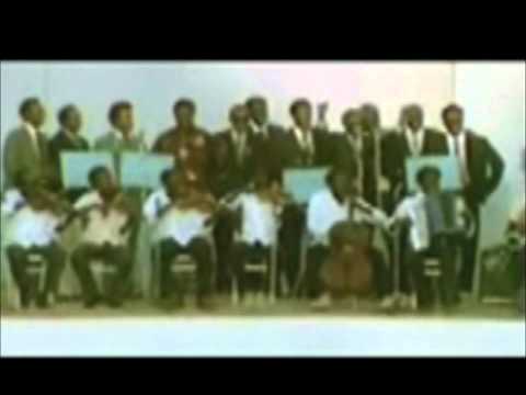 نشيد صه يا كنار الشاعر محمود ابوبكر