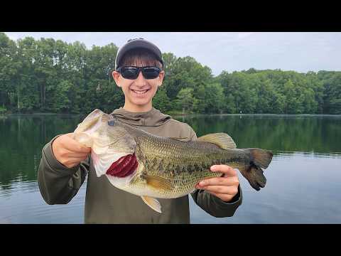 My Son's Biggest Bass Ever... and Baby Turtles!