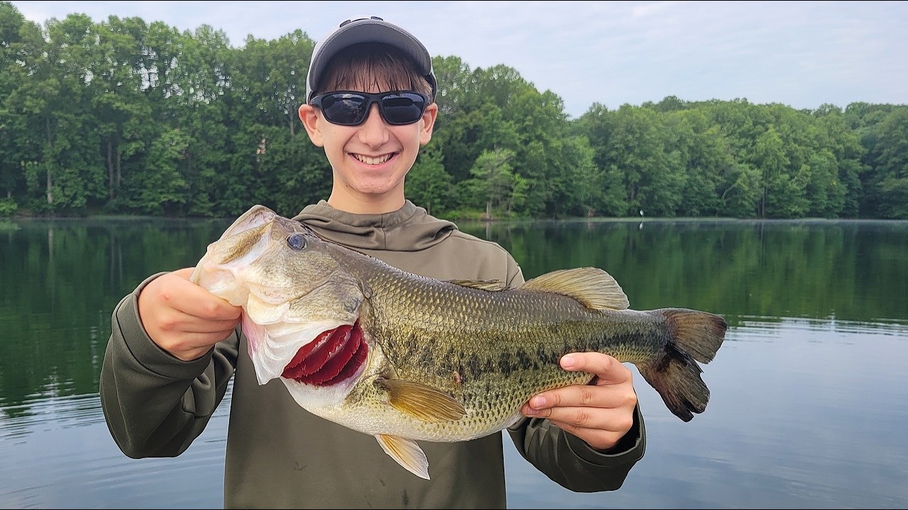 My Son's Biggest Bass Ever… and Baby Turtles!