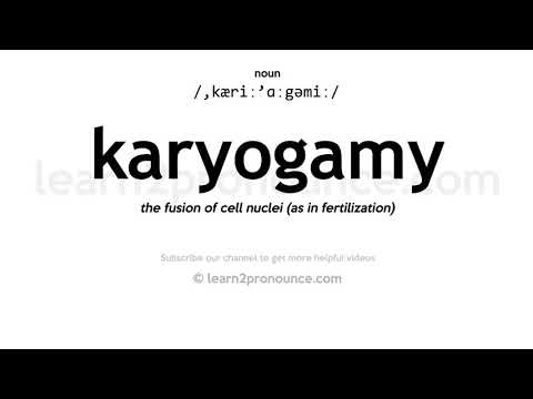 Pronunciation of Karyogamy | Definition of Karyogamy