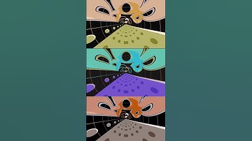 BOB ZOOM INTRO LOGO EFFECTS