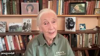 Dr. Jane Goodall - 11 Days Of Global Unity - Congratulations on 20th Anniversary