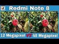 Xiaomi Redmi Note 8 48 Megapixel VS 12 Megapixel Camera Comparison Test | 12mp VS 48mp redmi note 8