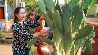 Unique cactus cream soup, crunchy mango eating, dragon fruit dessert - Easy and yummy food- Srosfood