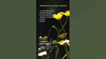 Permission - Inspirational Spoken Word Poem #poetry #inspiration #shorts #shortsvideo #poetryreading