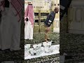 الروضة الشريفة حب النبي يجمعنا