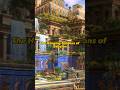 THE HANGING GARDENS OF BABYLON - one of seven wonders of the ancient world #babylon #history