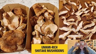 Cook Like a Pro: Shiitake Mushroom Seasoning for Culinary Brilliance! by Wild Food and Happy Soul 29 views 2 months ago 6 minutes, 38 seconds