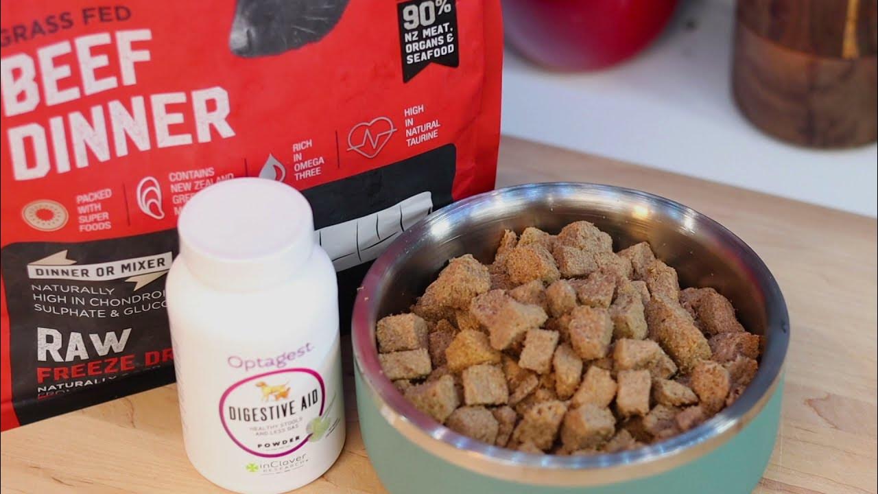 Pet Food Transition / Pet Food Express YouTube