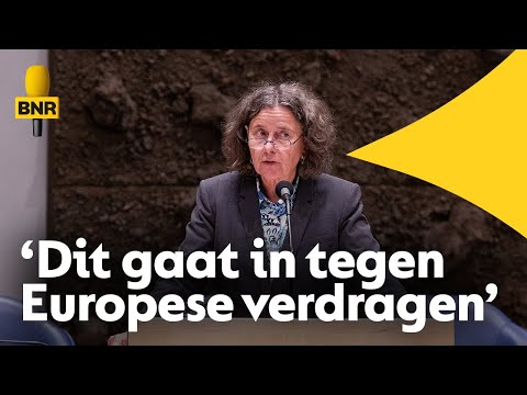 Hoogleraar: 'Waarom een asielcrisiswet een gevaar is voor de rechtsstaat'