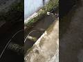 Rejeki sudah di Depan Mata