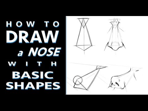 How to Draw A Nose Using Basic Shapes  Tutorial