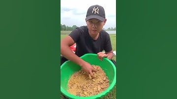 Cách Trộn Bài Mồi Câu Lancer, Câu Đài Lk Thường Dùng