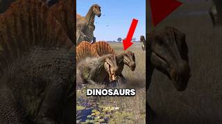 Top 4 LONG-Living Animals in the World😱 #OldestAnimals #LongestLivingAnimals #AncientCreatures