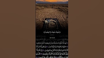 تلاوة خاشعة لسورة المؤمنون بصوت ياسر الدوسري #قران #قرآن #قرآن_كريم #آيات #اكسبلور #خشوع #لايك