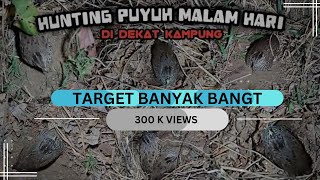 Astaga BANYAK SEKALI..‼️ BERBURU PUYUH HUTAN MALAM HARI, SPOT SEBERANG KAMPUNG❕POINT MELIMPAH‼️