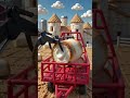 Farming Simulator 25 x Marshmallow