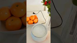 How to make Yogurt at Home | Yogurt Maker | Chinese  Product | How to Make Yogurt in winter season