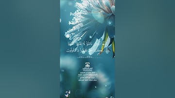 تلاوة عذبه بصوت عبدالله حمدي