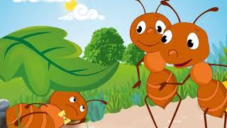 Minik Karınca - Sesli Masal Dinle - Okul Öncesi Eğitim