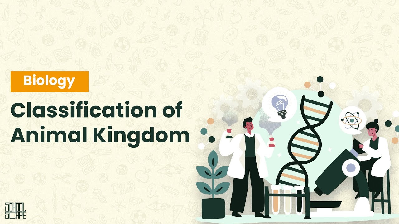Classification of Animal Kingdom Part 1 JSC Science Chapter 1