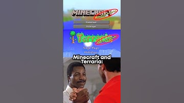 Minecraft and Terraria 🤝