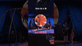 Would You Try To Swing Around?