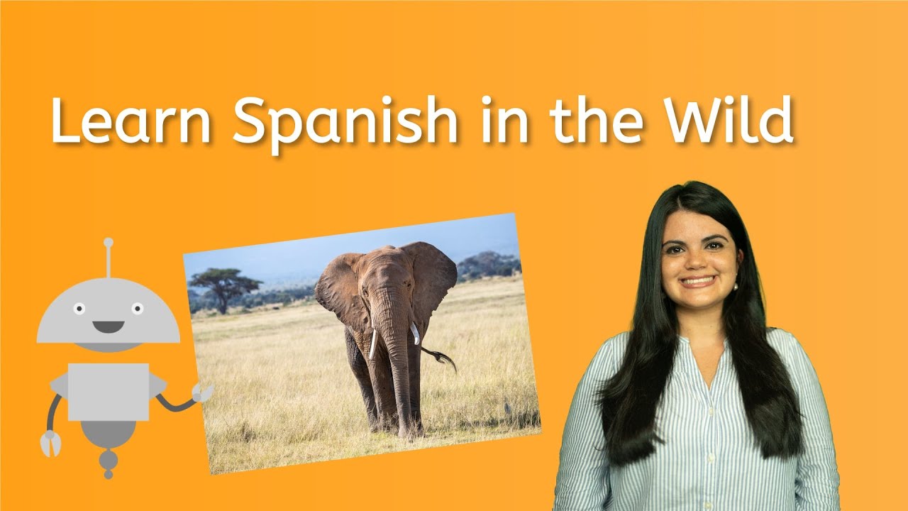 Learn Spanish in the Wild - Spanish Vocab for Kids!