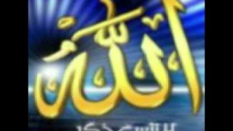 سورة الفتح -الشيخ الدوكالي محمد العالم.flv