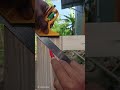 carpenters technique #woodworking #wood #woodscraft #diy