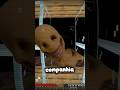 ELE É OBISESIVO POR VOCÊ???#shorts#minecraft#horror#verity#gaming