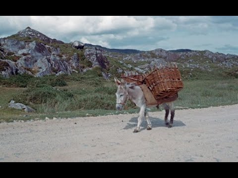 Video: Waar De Mooiste Uitzichten In Ierland Te Zien Zijn [foto's]