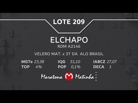 LOTE 209 Maratona Matinha