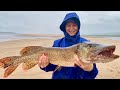 Охотники на дневных хищников 🎣Там ге начинается рыбалка 🎣